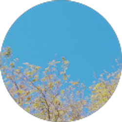 Profile photo of Gabe Voorhees