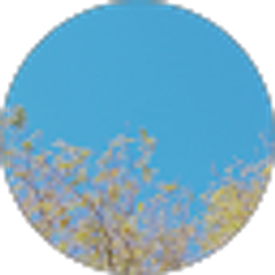 Profile photo of Gabe Voorhees