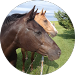 Profile photo of Janice