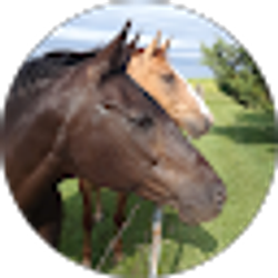 Profile photo of Janice