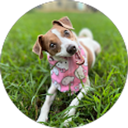 Profile photo of dakota edmiston