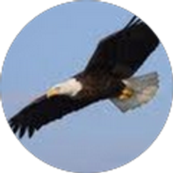 Profile photo of Kim Libbey