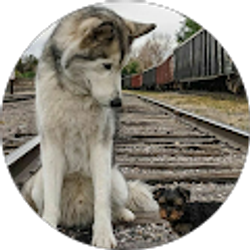 Profile photo of Tamara Riley