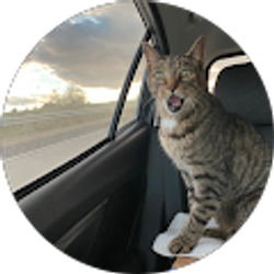 Profile photo of Kalle Fay