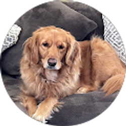 Profile photo of Laura Hoover