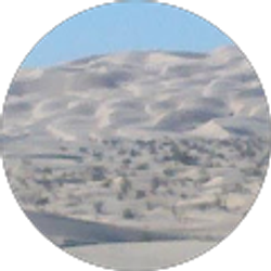 Profile photo of Fred M.