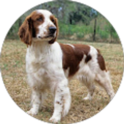 Profile photo of Steve Conlin