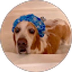 Profile photo of B.J. Balgo