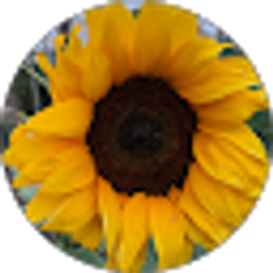 Profile photo of Reeny CS