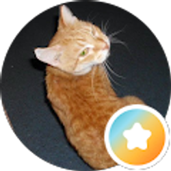 Profile photo of Jessica M