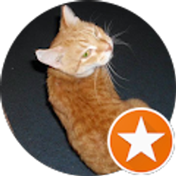 Profile photo of Jessica M