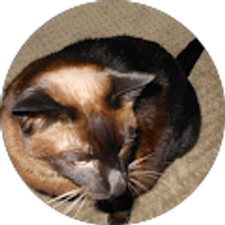 Profile photo of Dianne Bass