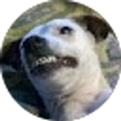 Profile photo of Theresa Hatch