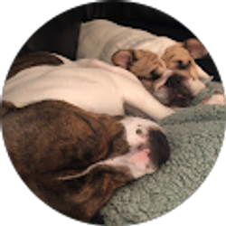 Profile photo of Jennifer Canaday