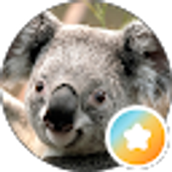 Profile photo of trish videtto