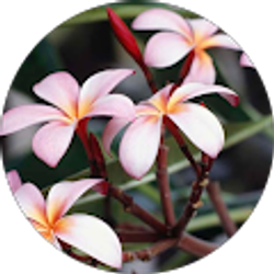 Profile photo of Karen Carter