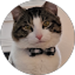 Profile photo of Kelly