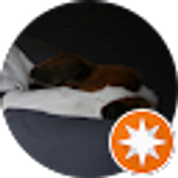 Profile photo of Joel Baker