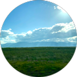 Profile photo of Robert Kohout