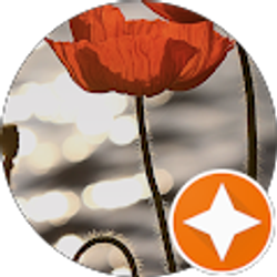 Profile photo of Nino Fisher Inc