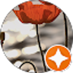 Profile photo of Nino Fisher Inc