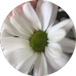 Profile photo of Belenda Starnes