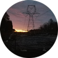 Profile photo of Ray Raynor