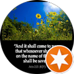 Profile photo of Mary Hayes