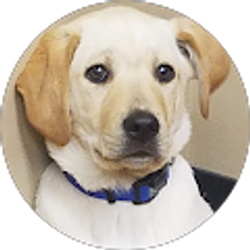 Profile photo of Jayne Buchholz