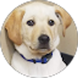 Profile photo of Jayne Buchholz