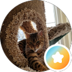 Profile photo of Christine Detvay