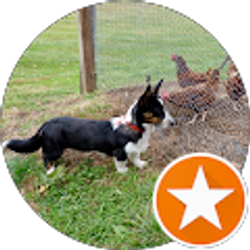 Profile photo of Charlotte DeMarco