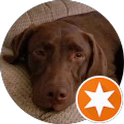 Profile photo of Diane Felten