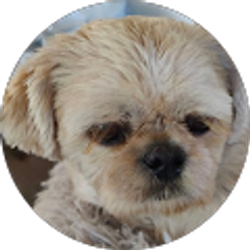 Profile photo of connie warren