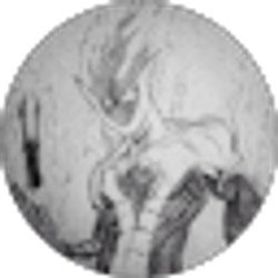 Profile photo of Dominic Silves