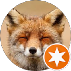 Profile photo of Jerry Fox