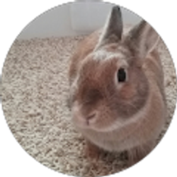 Profile photo of Evelyn Ross