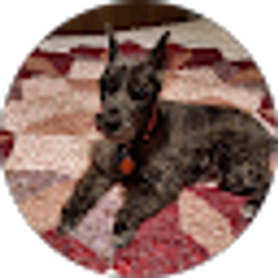 Profile photo of Raquel Saucier