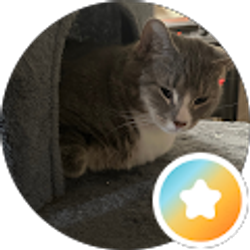 Profile photo of jay 55