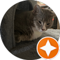 Profile photo of jay 55