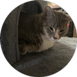 Profile photo of jay 55