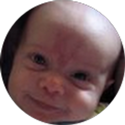 Profile photo of Stefan Roth