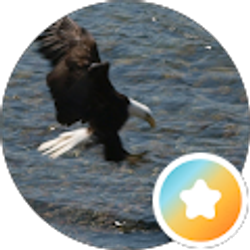 Profile photo of Tim Maxwell