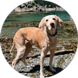 Profile photo of Kerry Hamilton