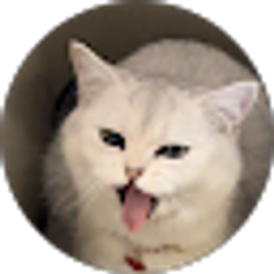 Profile photo of Caleb Wu
