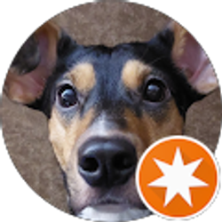 Profile photo of Alhuren Bereza