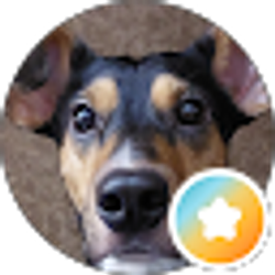 Profile photo of Alhuren Bereza