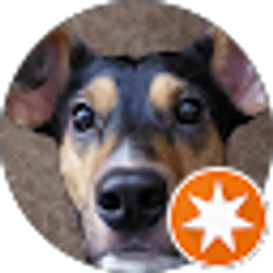 Profile photo of Alhuren Bereza