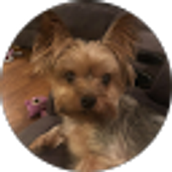 Profile photo of Diana Allen