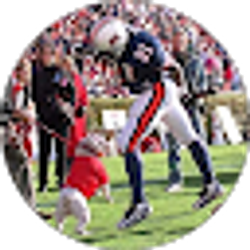 Profile photo of Preston Mintz